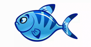 Life History and Behavior | Blue Fish 