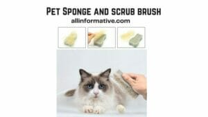 Pets Sponge and scrub brush