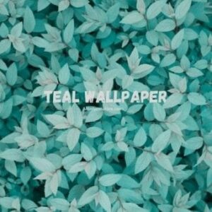 Teal Wallpaper 